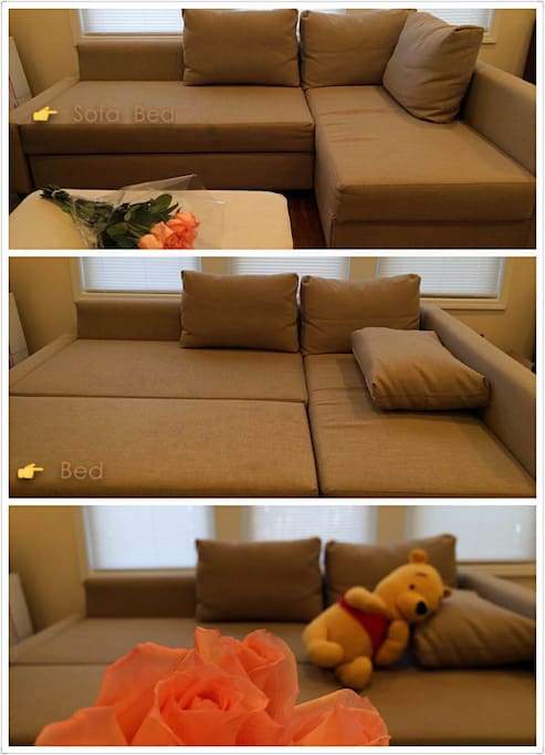 Transitable sofa bed, $20 extra and let me know if your party needed so I could set it up.