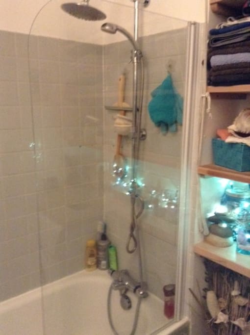 Baignoire et douche au choix/Bath and shower choice
