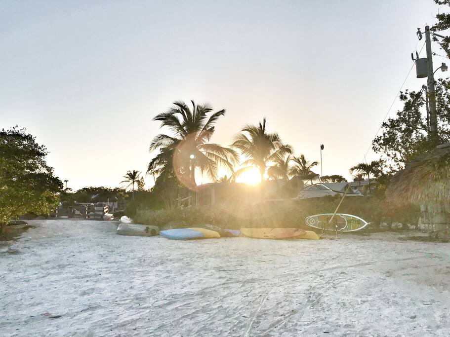 Beach area with paddle boards