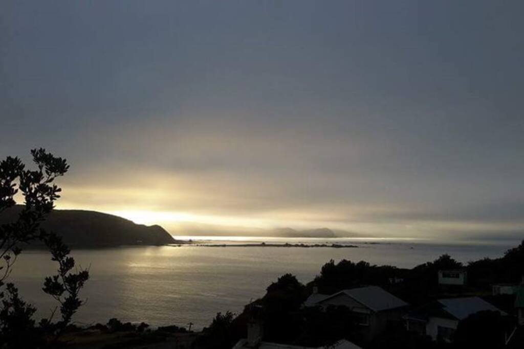 dawn view from backyard