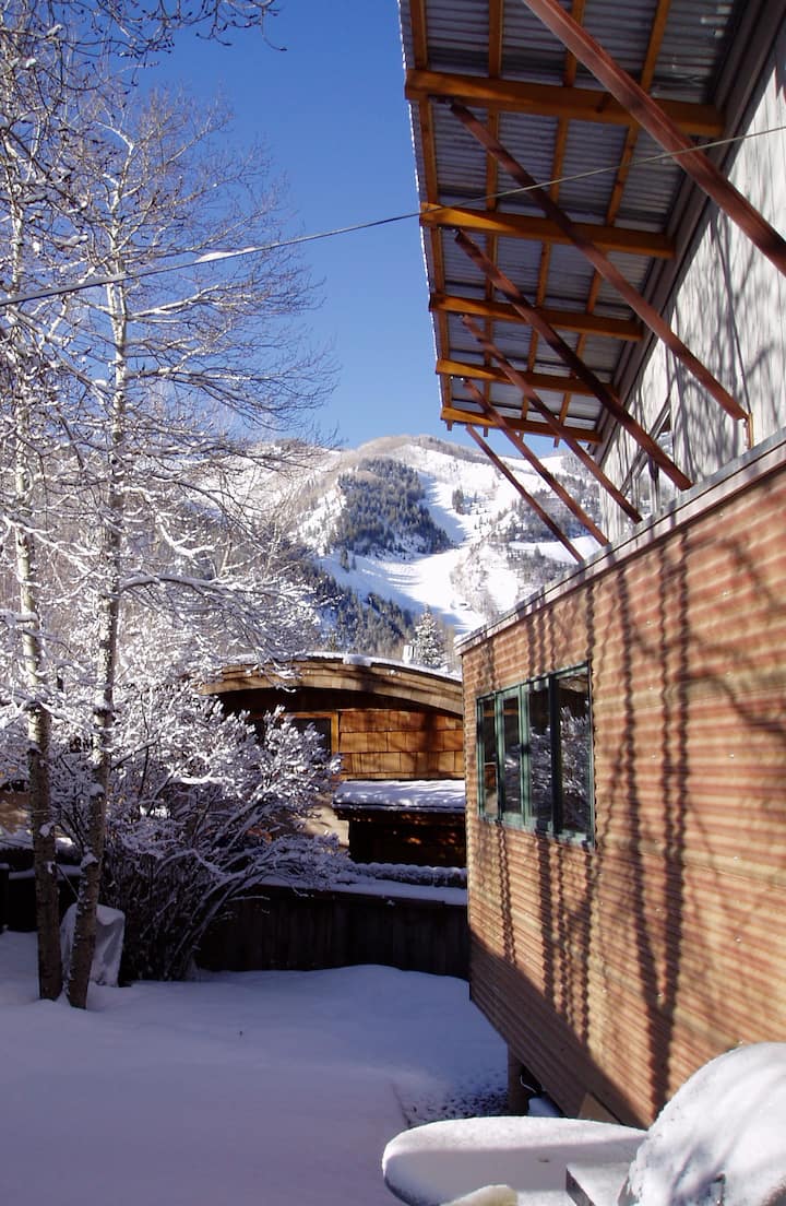 Aspen Vacation Rentals House and Condo Rentals Airbnb