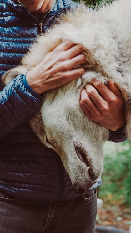 Показать полноэкранное фото от хозяина