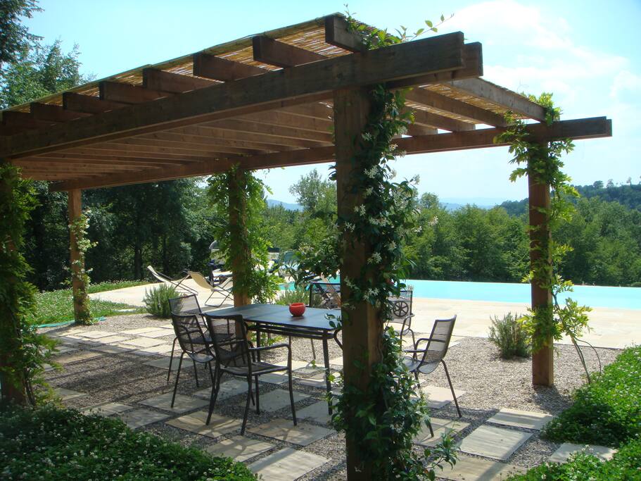 view of infinty pool