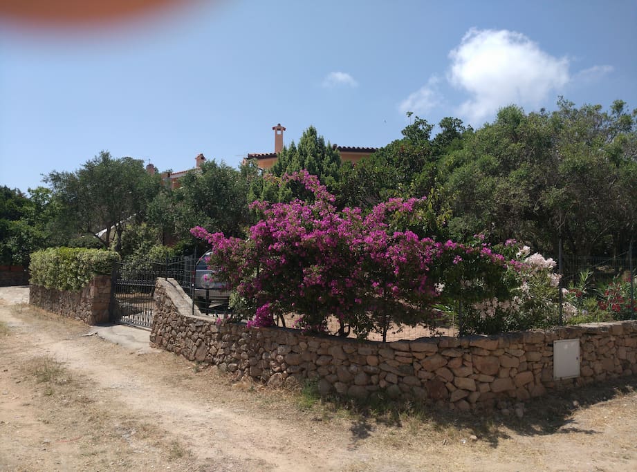 Entrance