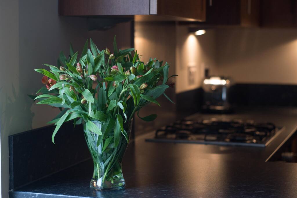Spacious units and Siemans Hob