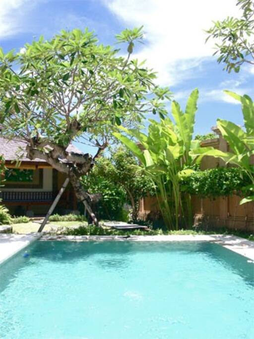 The pool and garden