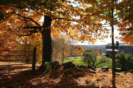 Farm House Apartment