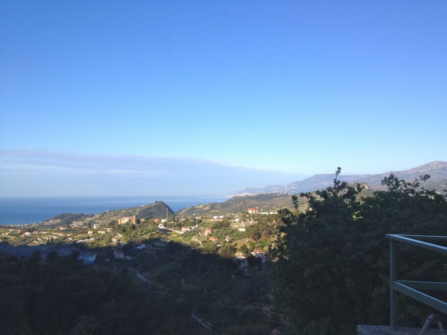 la visuale