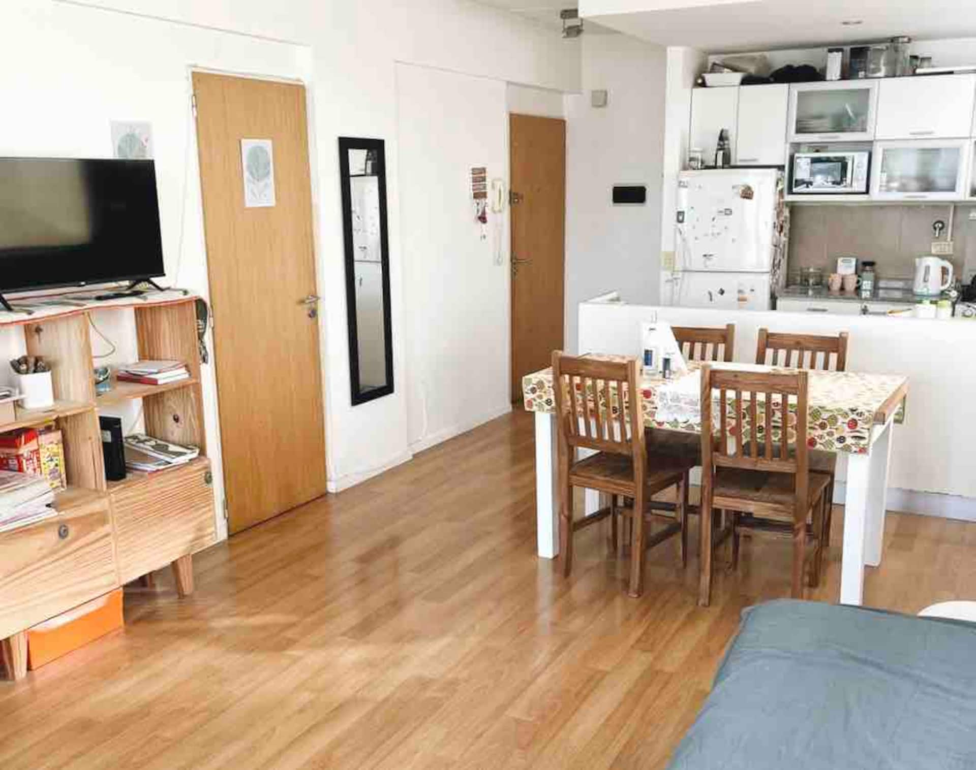 Spacious and Bright apartment