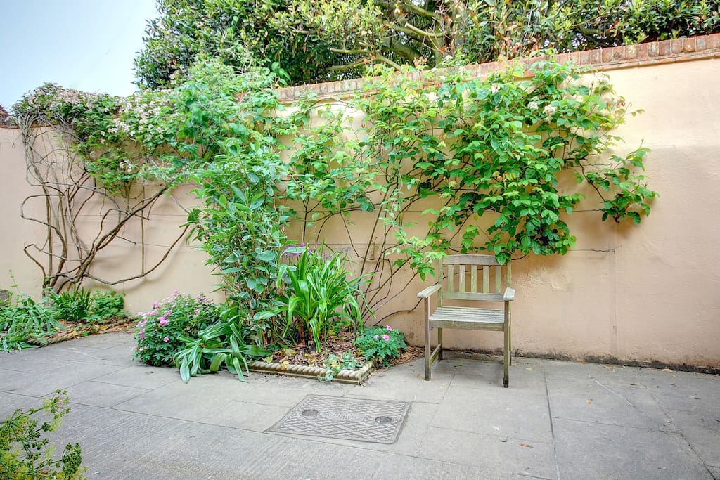 Rear courtyard.