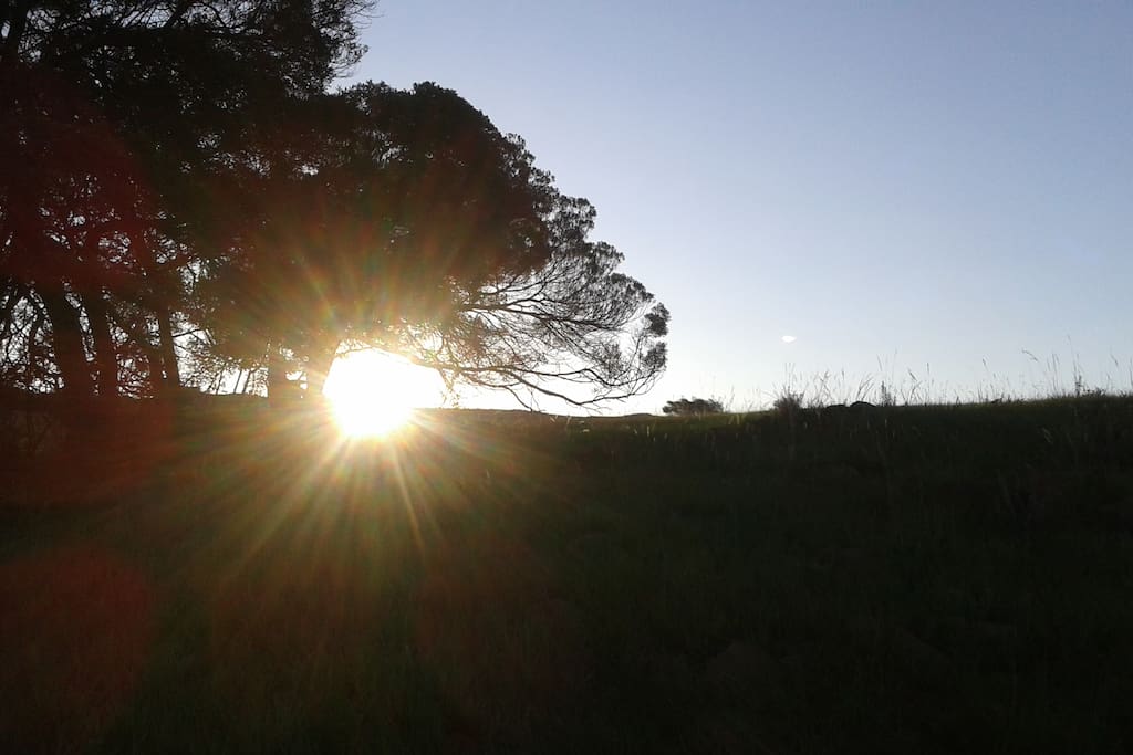 Sunset on the farm
