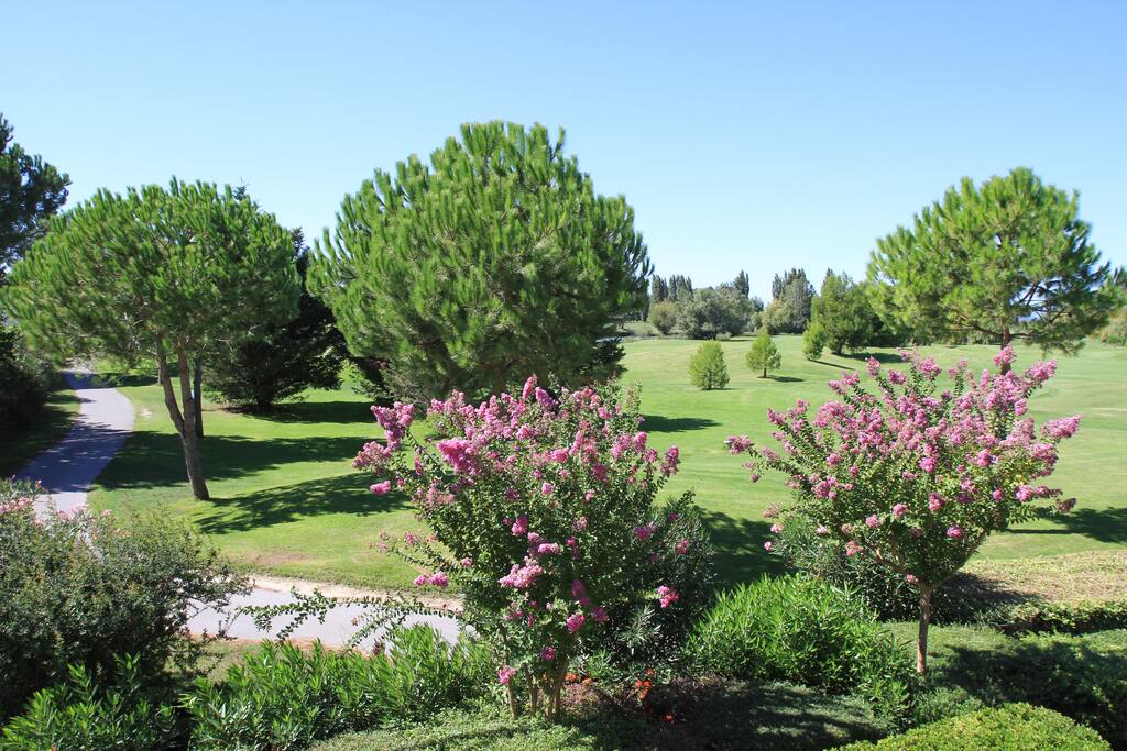 Jolie vue sur le golf