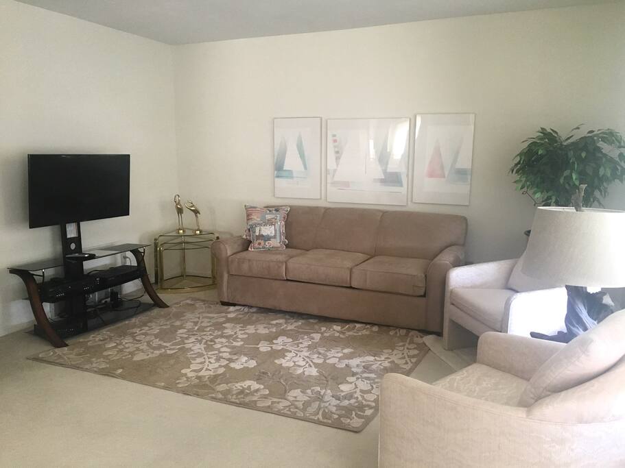 Living Room with TV