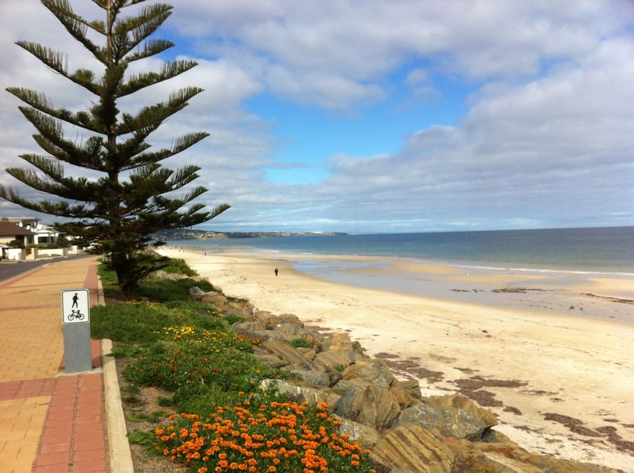 Adelaide Share Room For Rent Adelaide Share Room For Rent