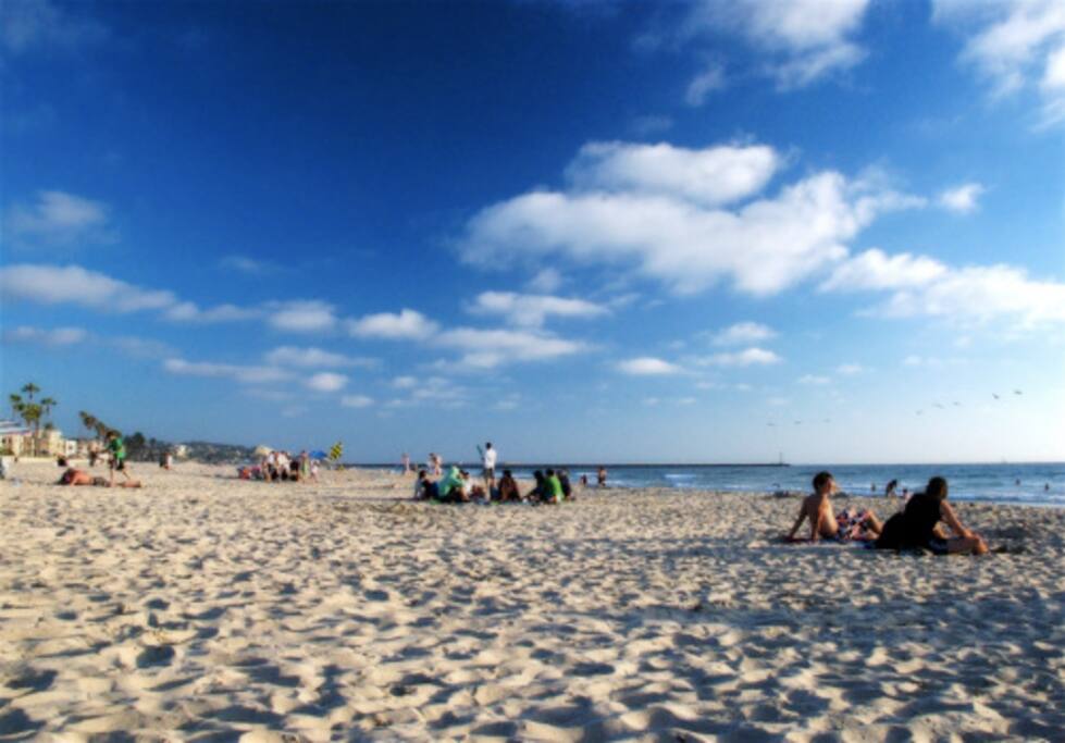 Beautiful warm beaches in front of our building with excellent surf, swimming, sun bathing