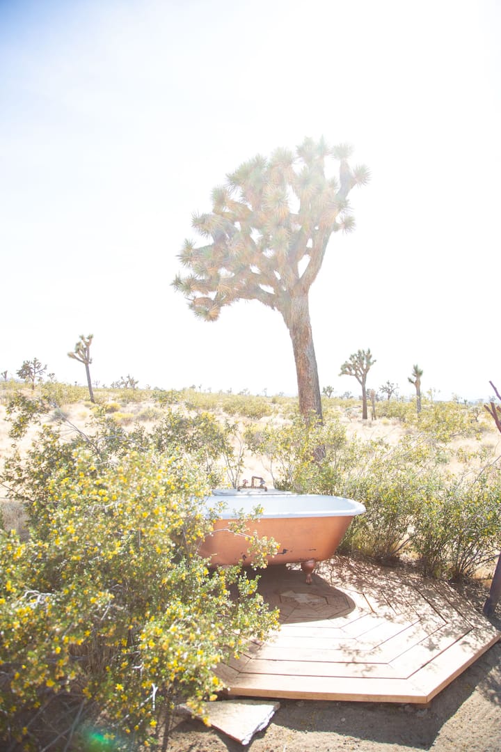 Joshua Tree National Park - USA Vacations in december