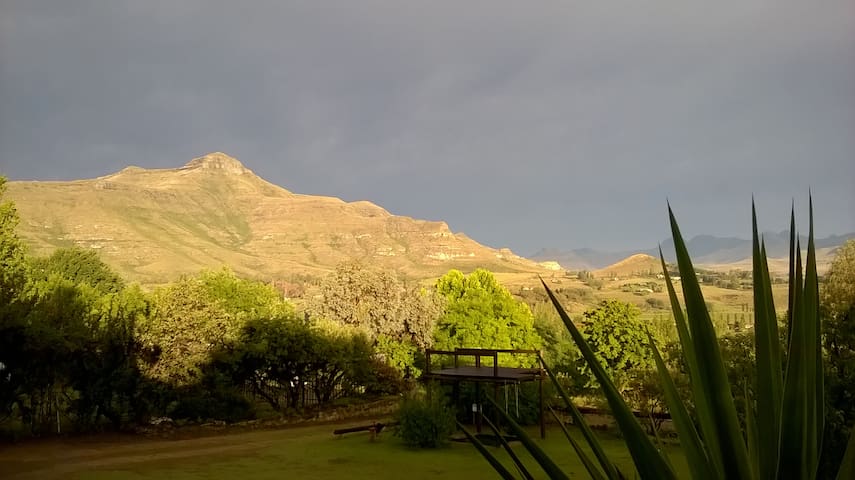 Akzente, Alda's