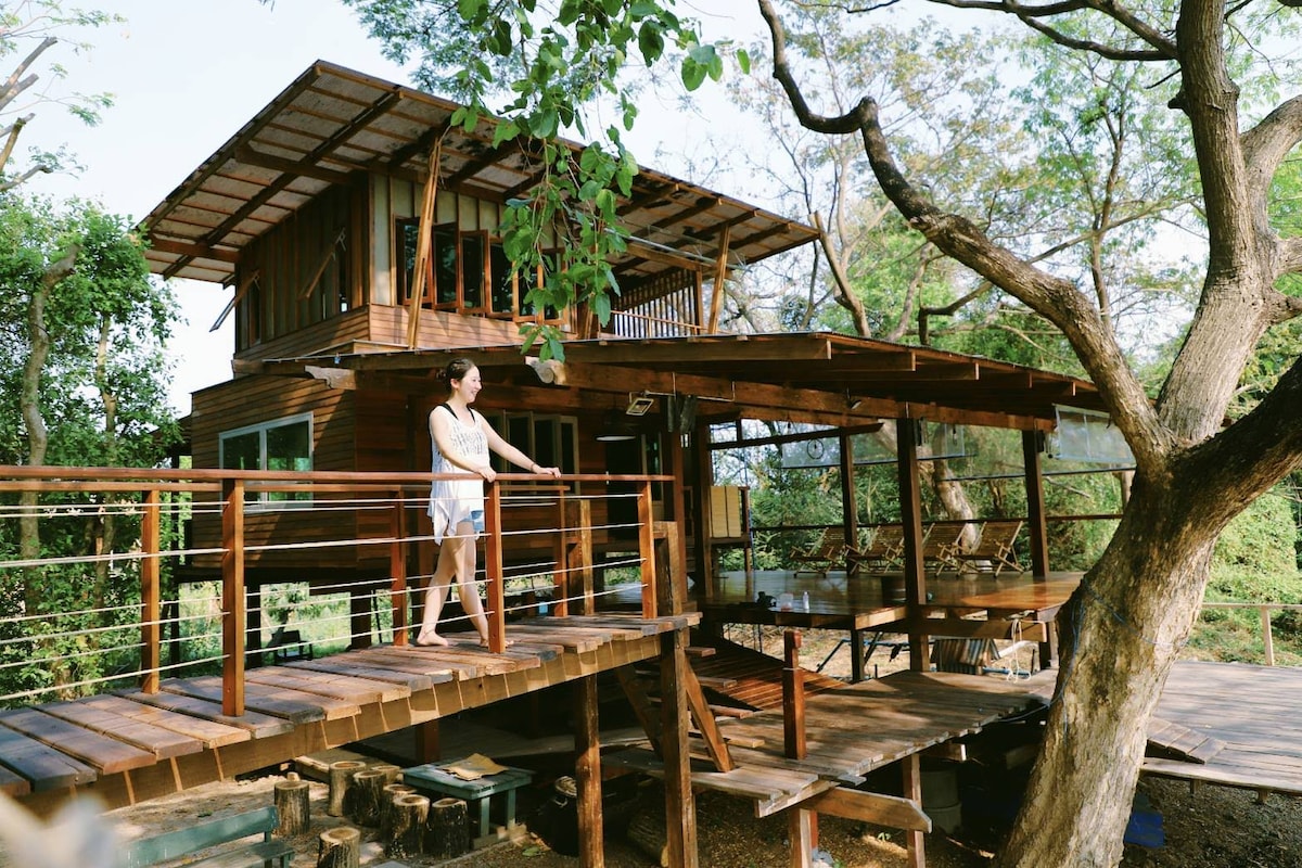 A wooden treehouse features multiple levels surrounded by lush greenery. The spacious deck is complemented by a railing, leading to a terrace with seating. Large windows invite natural light into the living spaces, creating an open and airy atmosphere among the treetops.