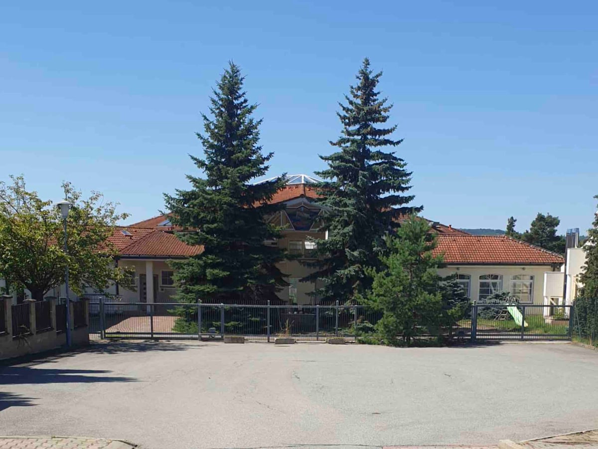 A spacious building is framed by tall evergreen trees and lush green shrubs. The structure features a prominent roof with terracotta tiles and large windows that allow natural light to enter. A fenced area is visible in front, with a clear pathway leading up to the entrance.
