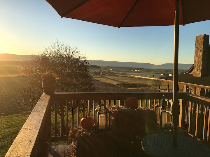 10 Best Airbnb Vacation Rentals In Shenandoah Valley, Virginia