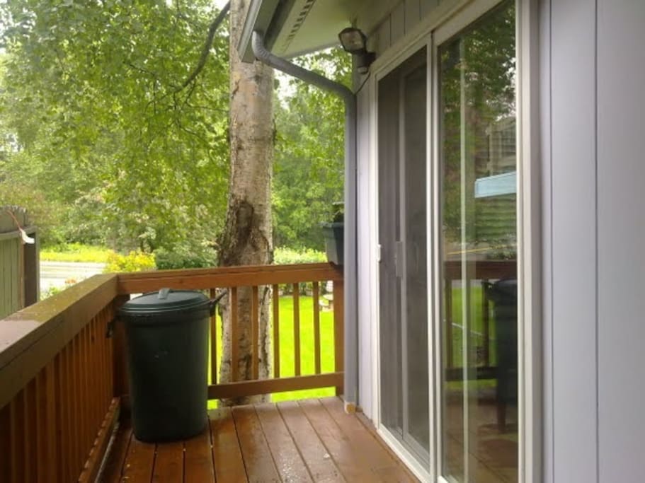 Back Deck
