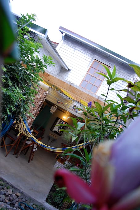 Relax in our hammock and watch a hummingbird passing by