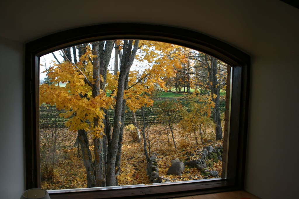 Experience the nordic four seasons.