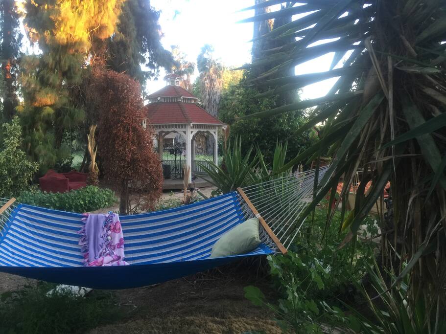Relax in the hammock!