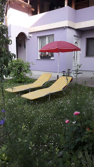 Zelena površina za sunčanje