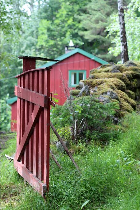 Jogjerdet fra innkjørsel