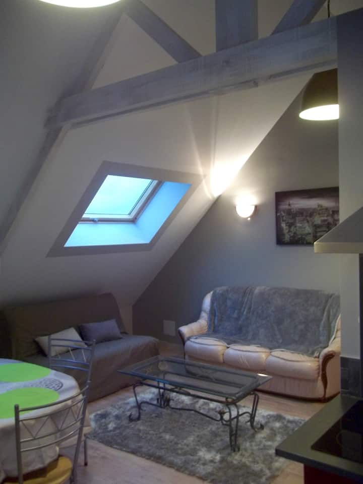 A 5mn De La Plage,appartement De 60 M2, 2 Chambres - Franceville-Plage