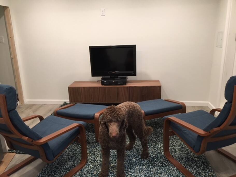 Dog not included