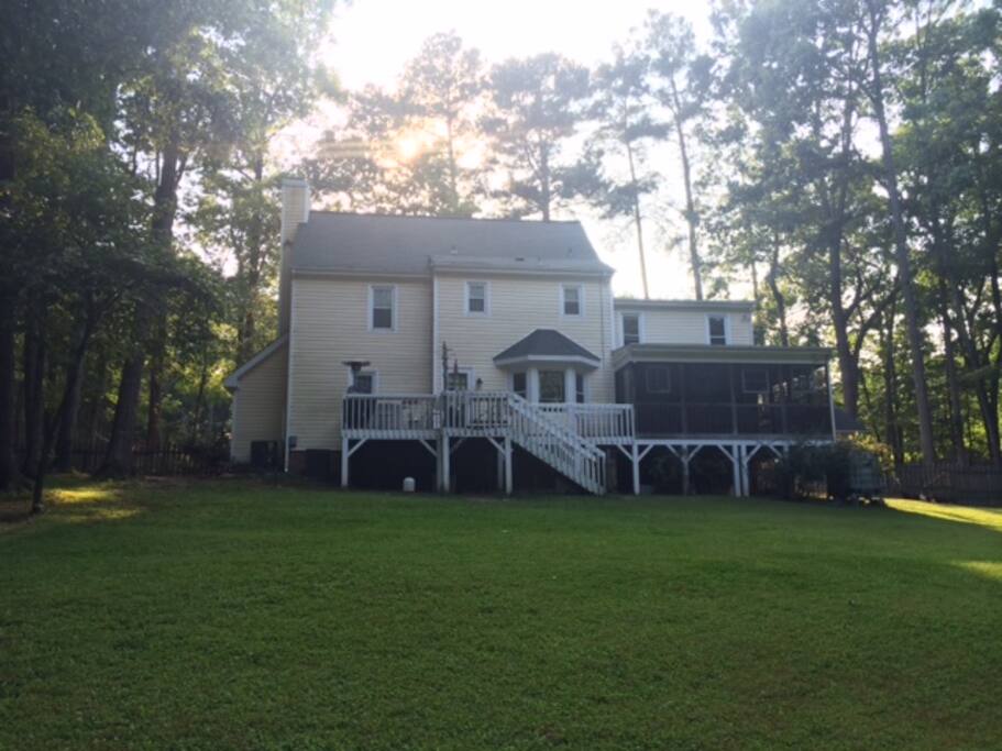 Backyard