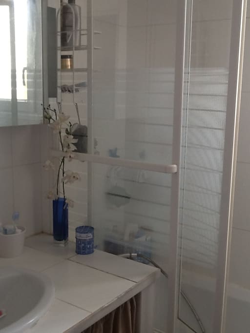 salle de bain avec baignoire