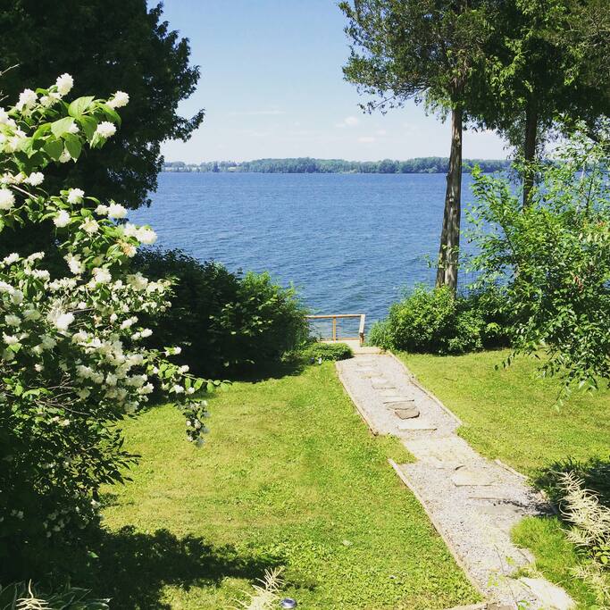 Back yard