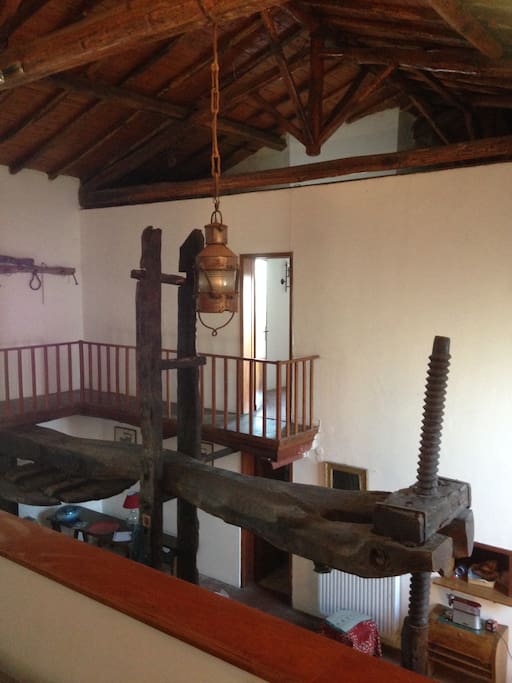 the vineyard - il palmento