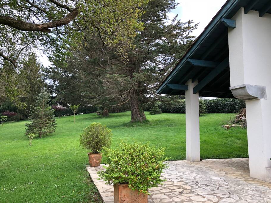 Jardin y porche
