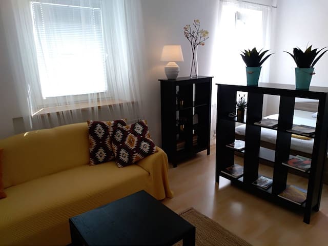 Apartment in Old Town- city centrum, near Castel