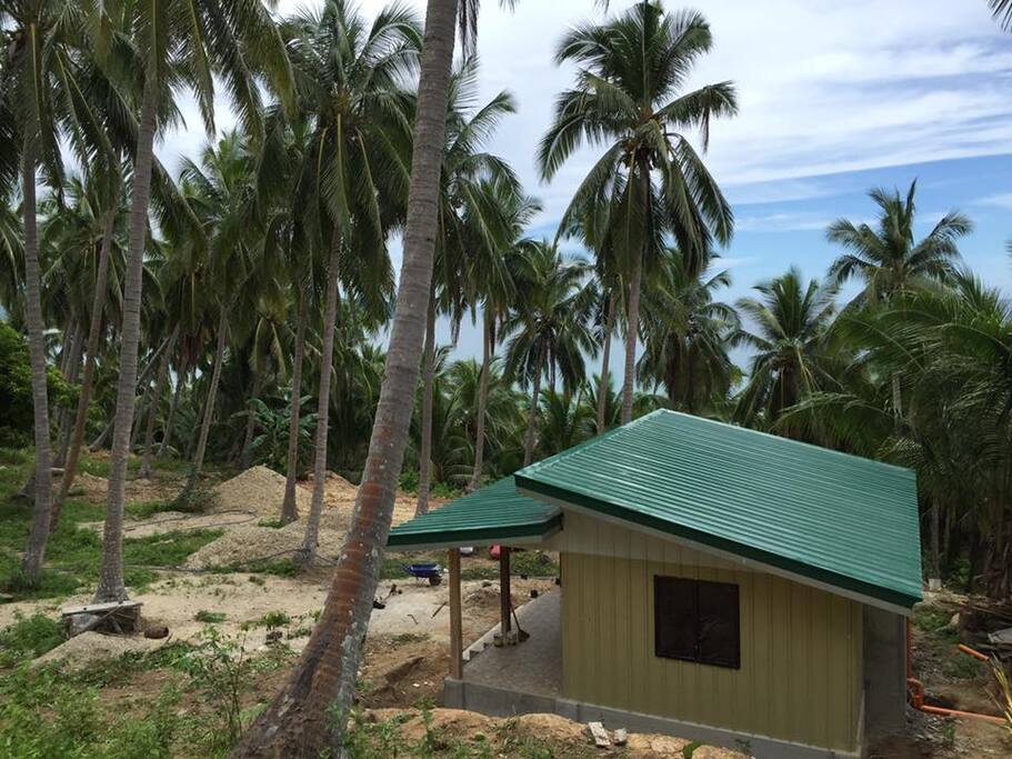Overlooking the beach