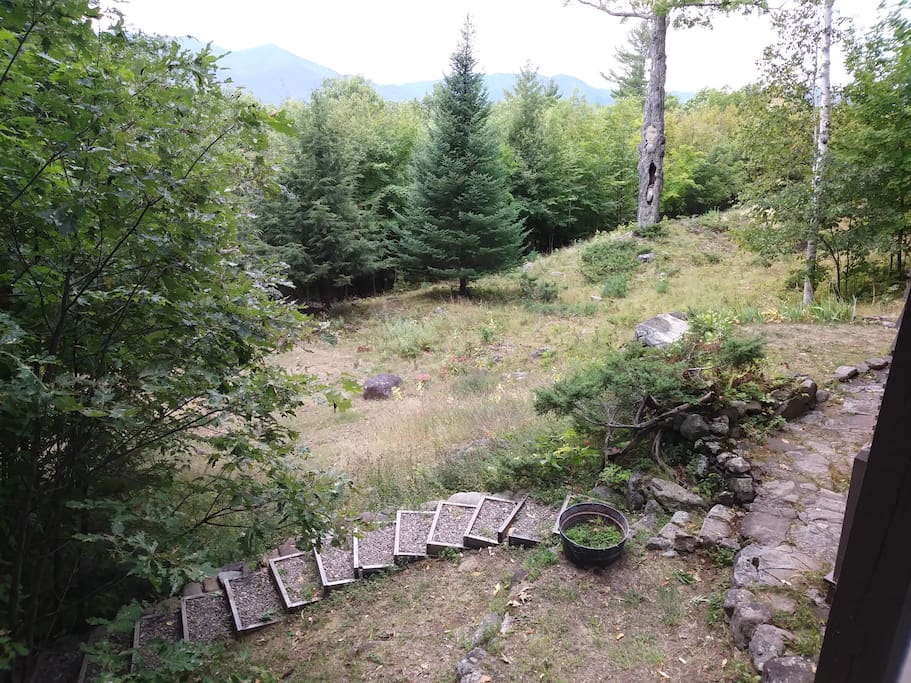 VIEW FROM DECK