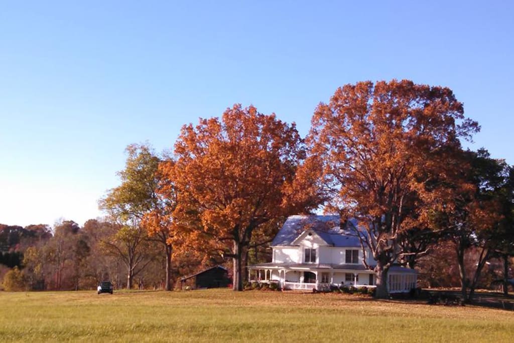 Autumn