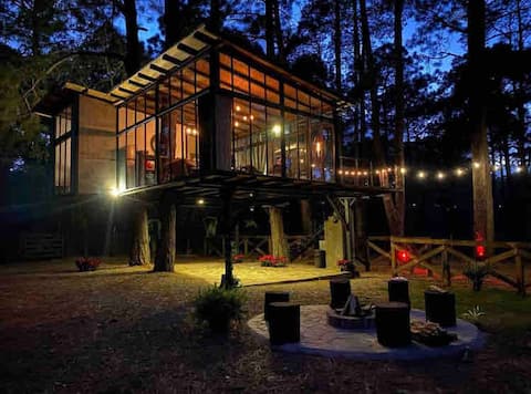 El Nido, Tree Cabin, Tapalpa A.