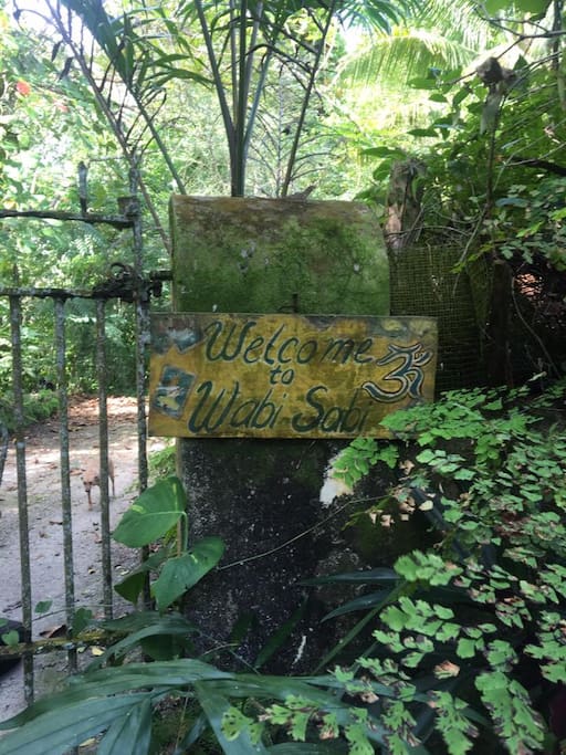 Welcome to Wabi Sabi
