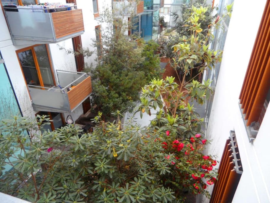 Blick vom Küchen-Balkon (Wintergarten)