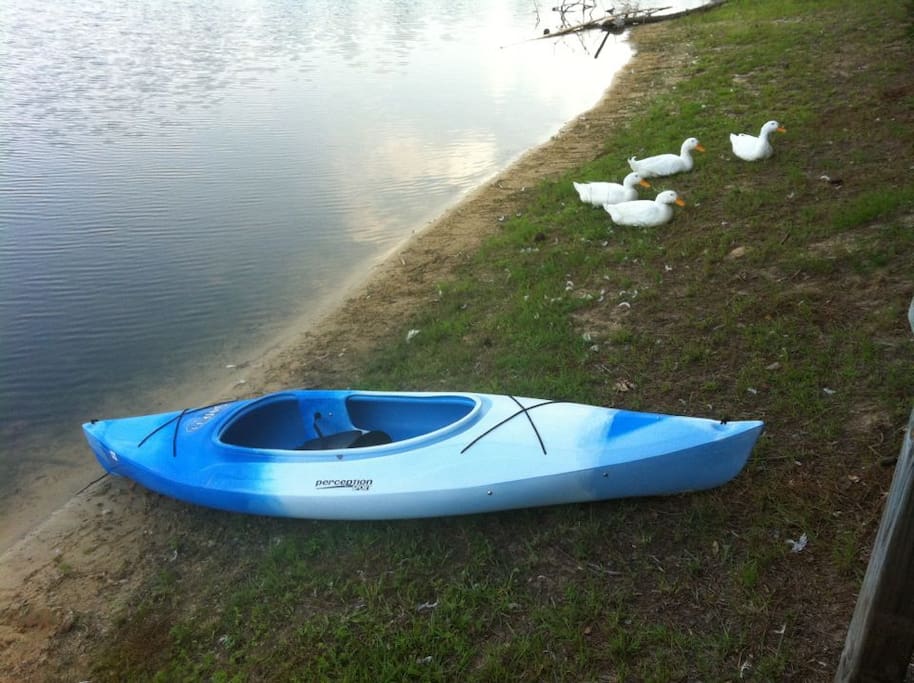 My Kayak