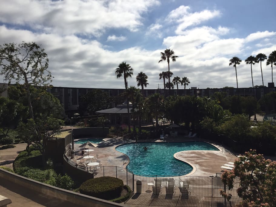 heated Pool and jacuzzi