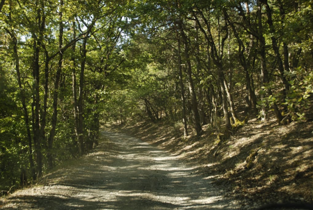 Chemin d'accès