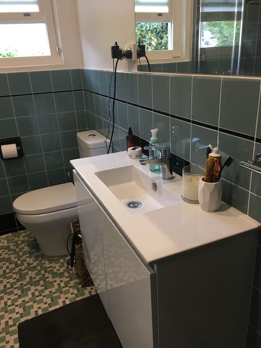 Retro, updated bathroom.