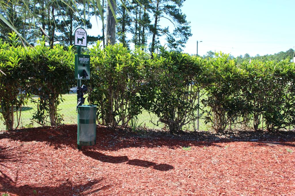 Dog Area