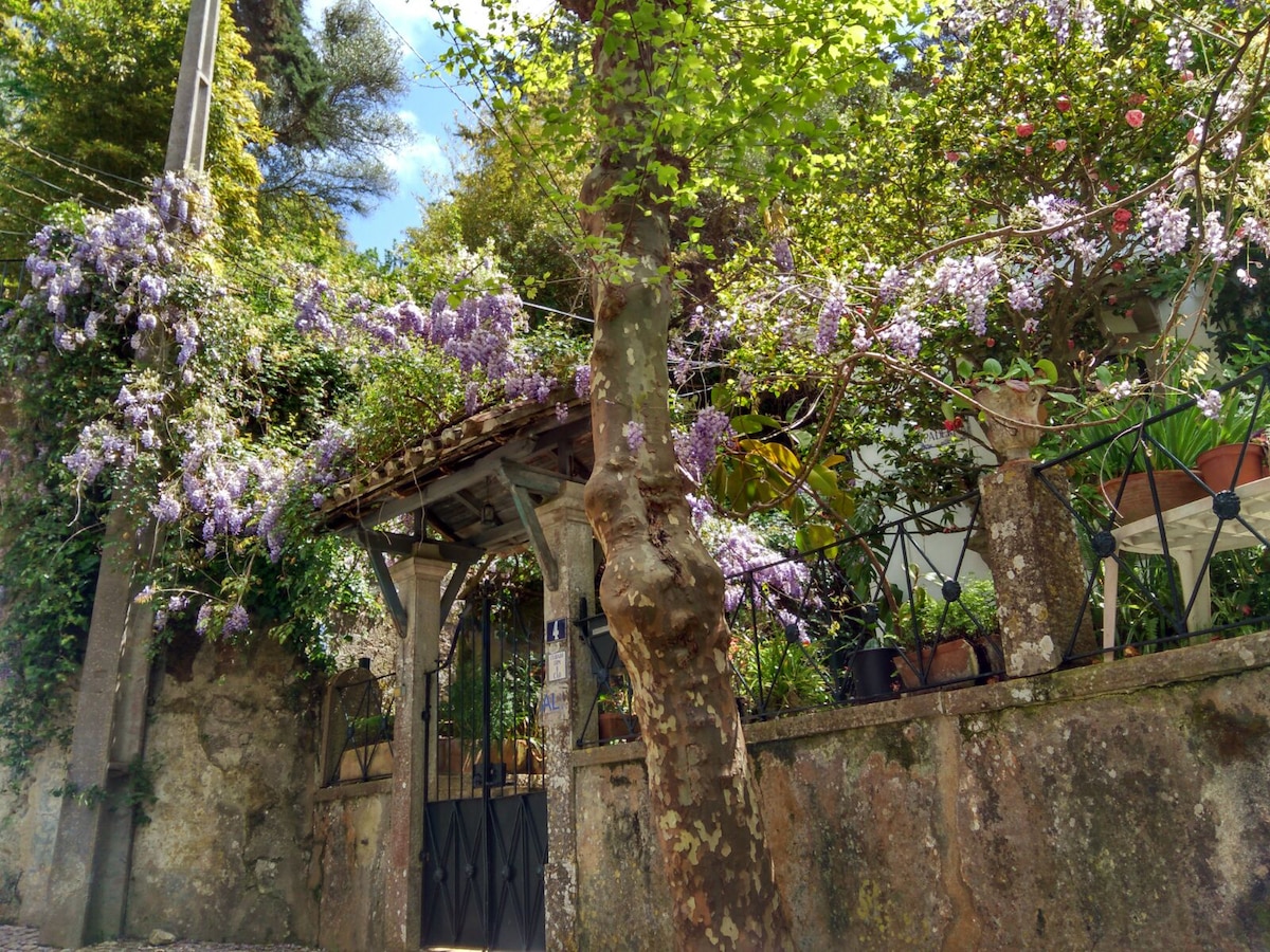 An entrance gate is framed by blooming wisteria and lush greenery. A tree with a textured trunk stands nearby, while potted plants add to the vibrant atmosphere. The stone wall creates a rustic feel, inviting guests into the serene environment of the property.